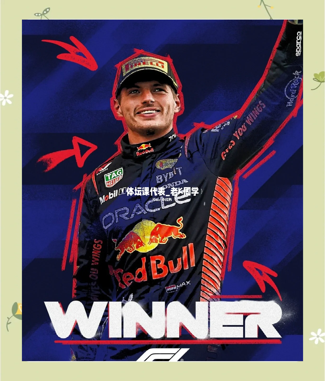 哈斯车队险胜雷诺车队，维斯塔潘关键制胜