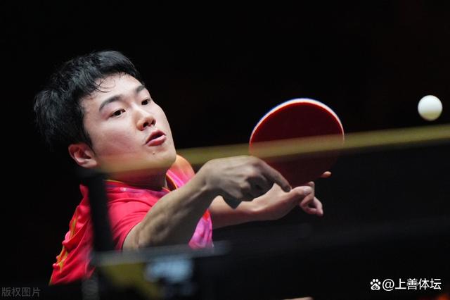 德国队绝杀波兰队，梁靖崑高光表现