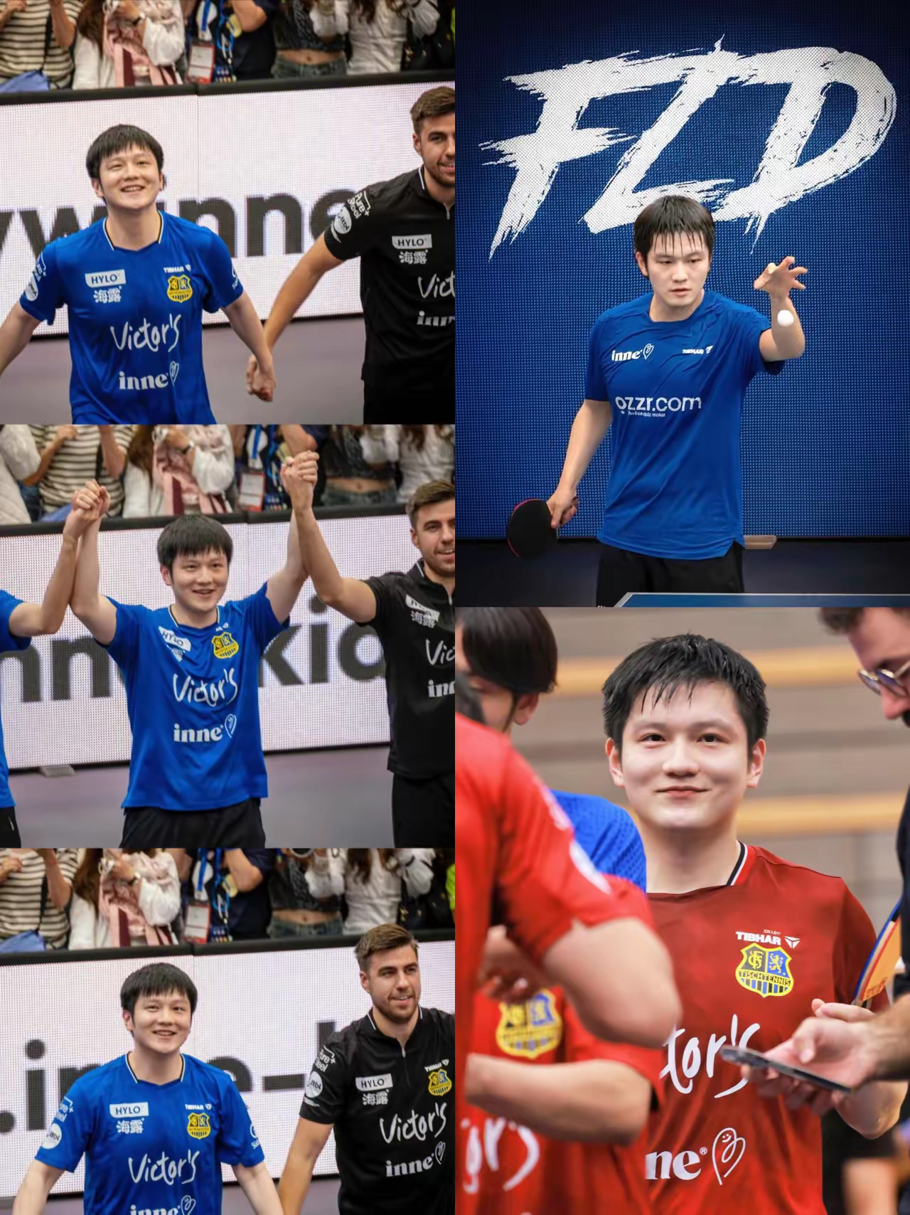 奥地利乒乓球队横扫德国乒乓球队，樊振东惊艳世界