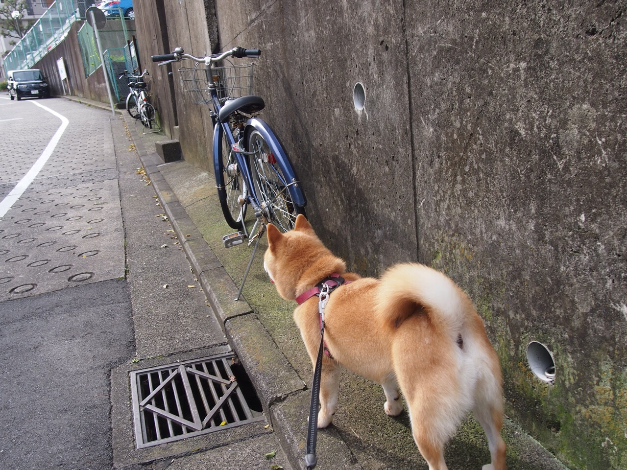 死神降临与魔术奇迹，杜兰特关键时刻的挺身而出与奥兰多的加时逆袭