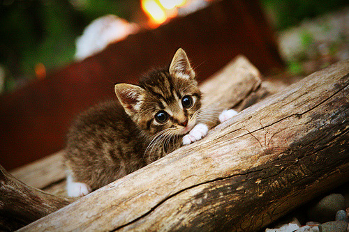 南美风暴再起,巴拉圭爆冷新西兰,阿圭罗硬仗之王本色尽显